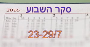 סקר השבוע